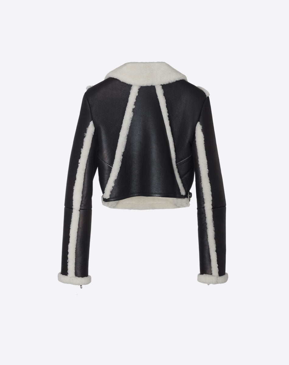 ALANIS Shearling & Lambskin Jacket